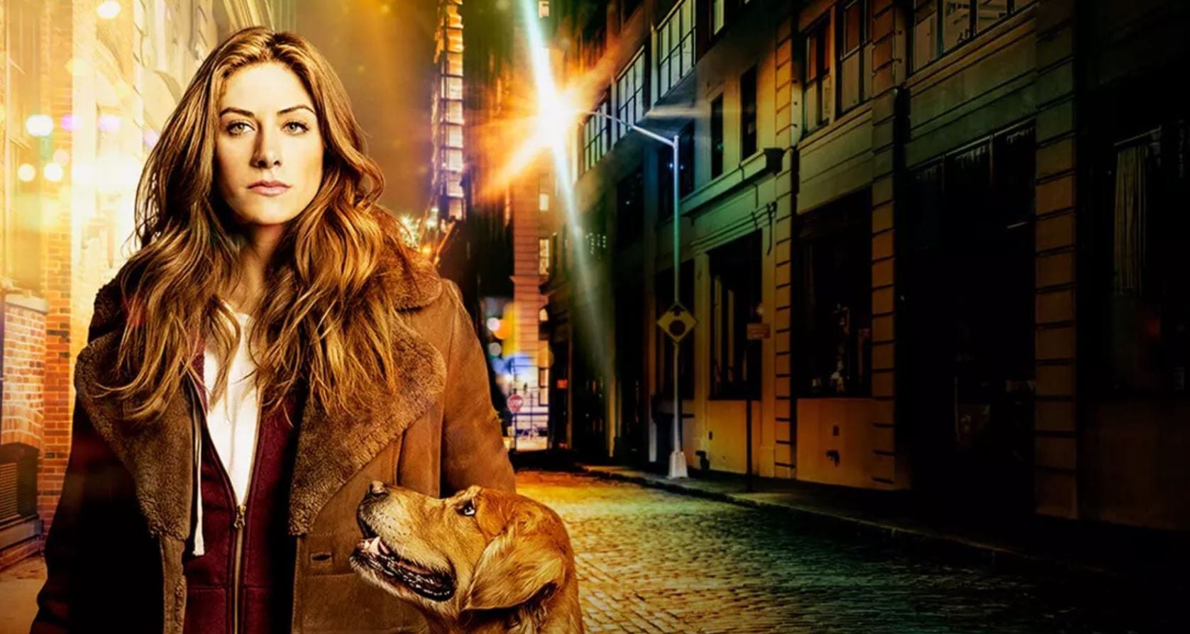 When Will In the Dark Season 3 Return? Episode 6 Release Date and Plot Explored
