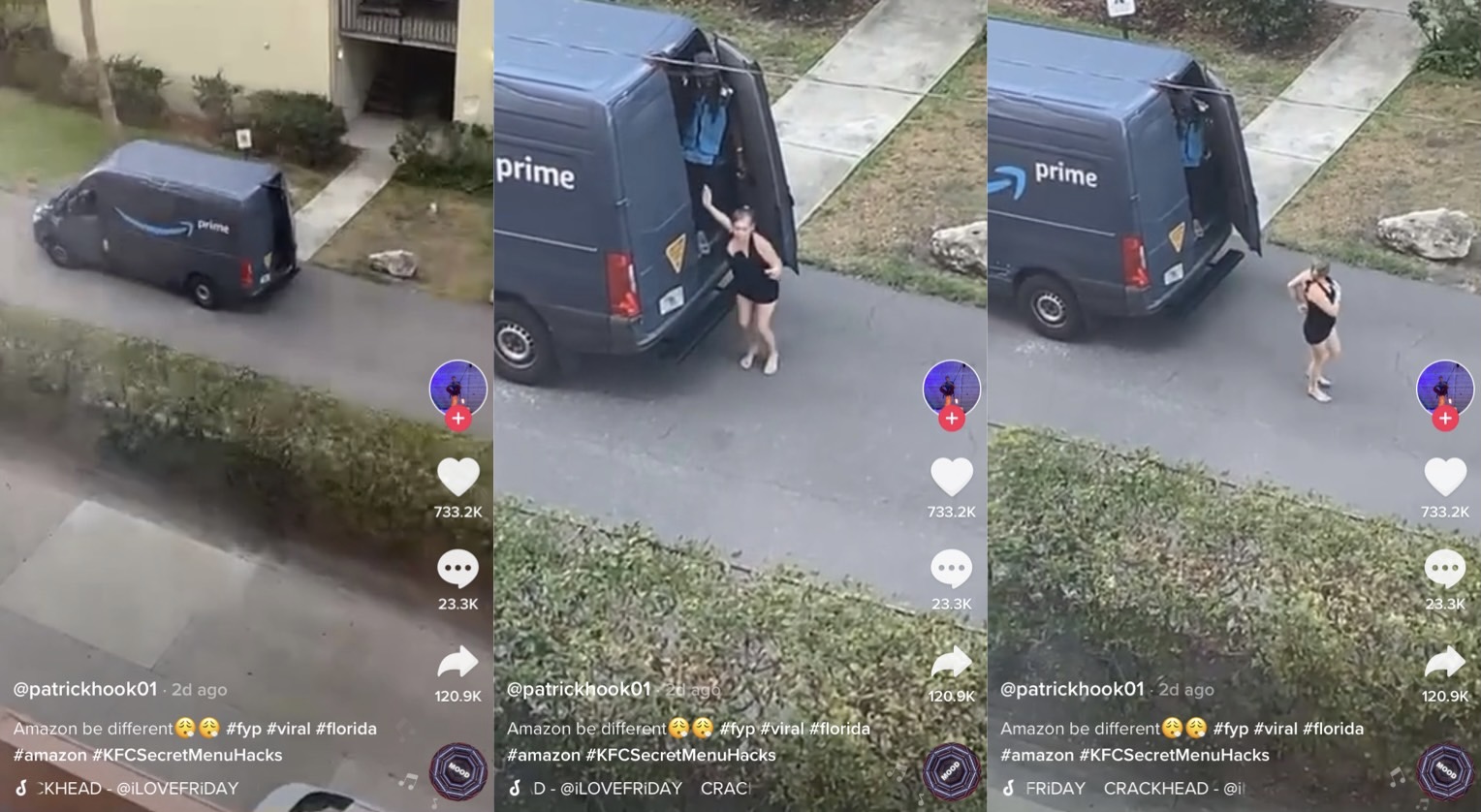 amazon delivery van viral video tiktok Charmer Blogsphere Image Library