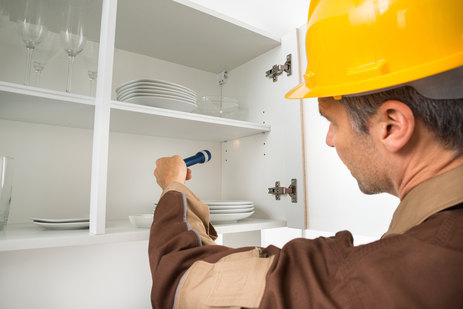 About Us HiTech Pest Services