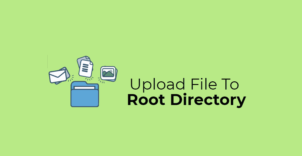 How To Find Root Directory Of WordPress site & Upload Files