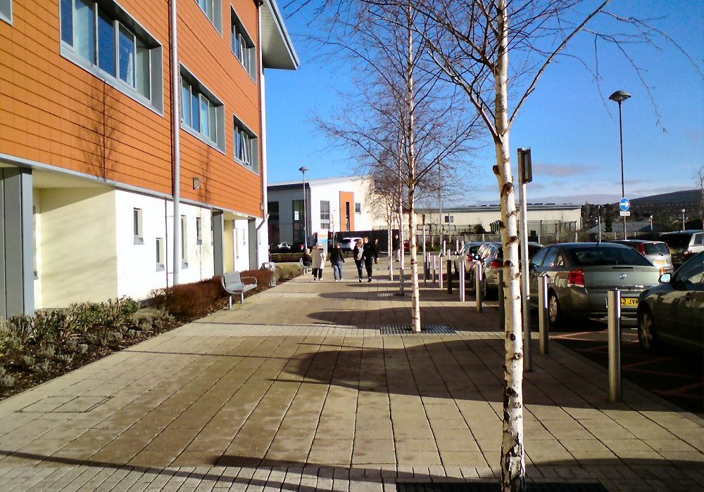 Tameside Hospital Emergency Department Projects Hive Projects