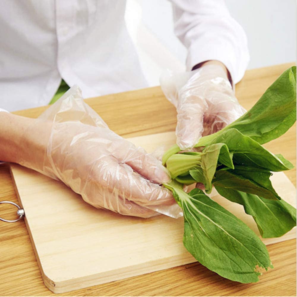 Buy Disposable Plastic Food Service/Handling Gloves Size Large Cheap