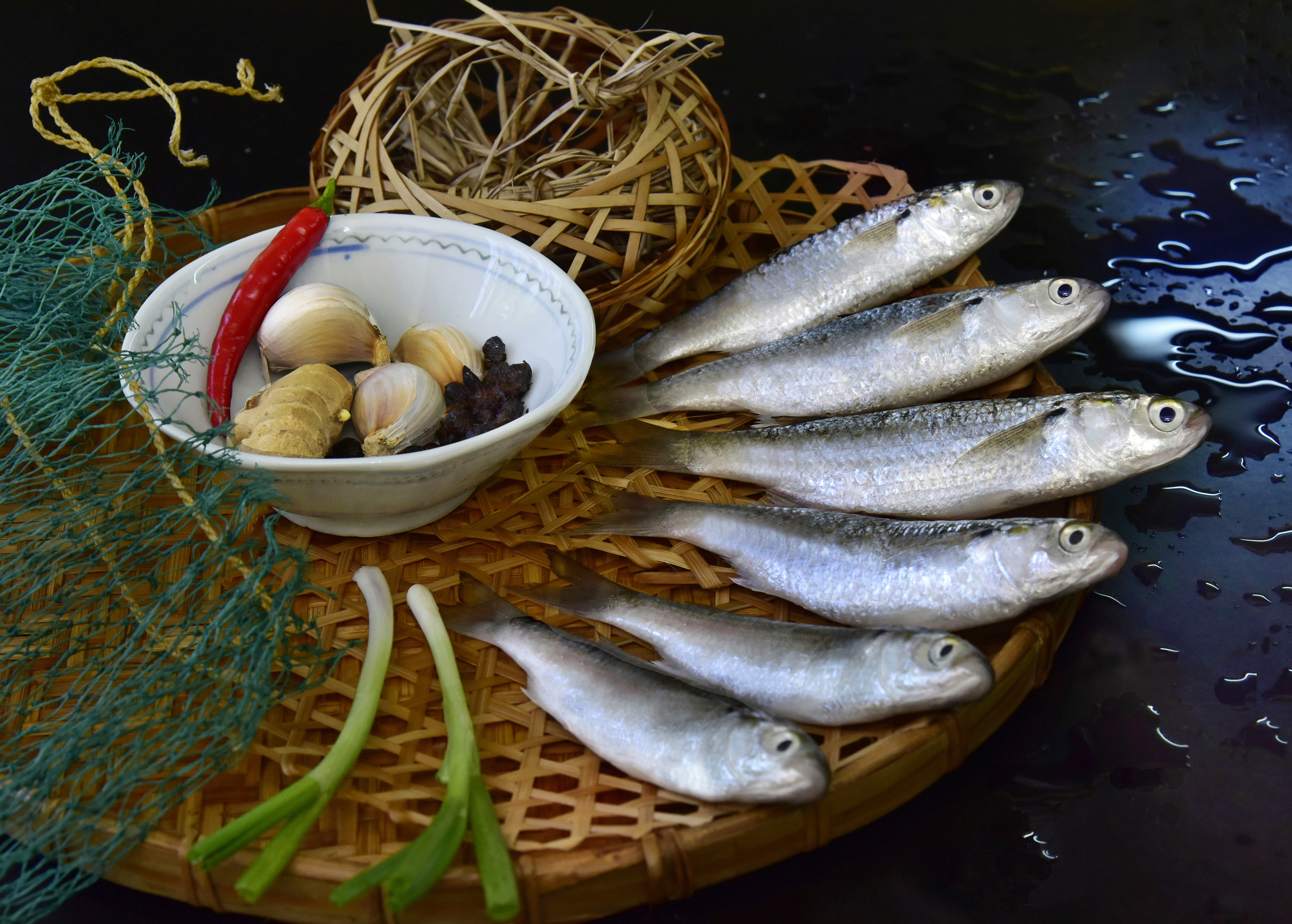 鱭魚的回憶香港商報