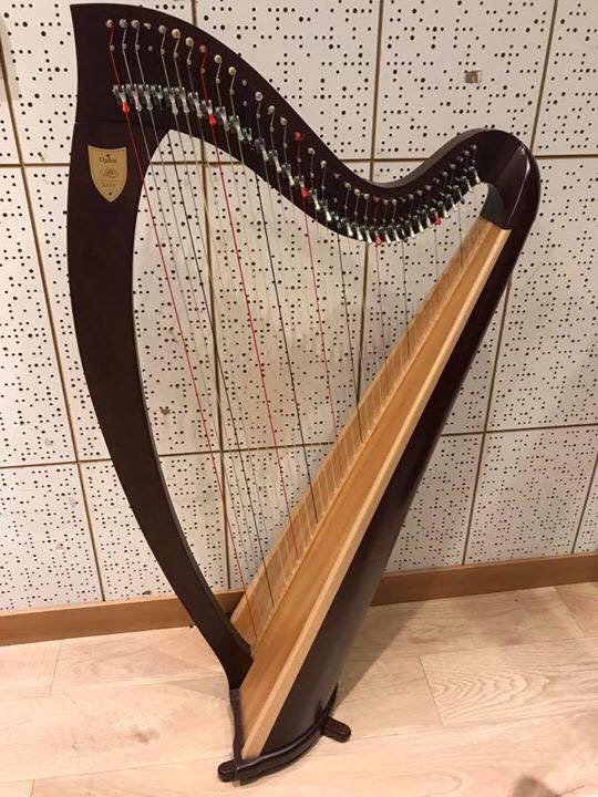 Second hand Harp Hong Kong 二手豎琴 HK 香港