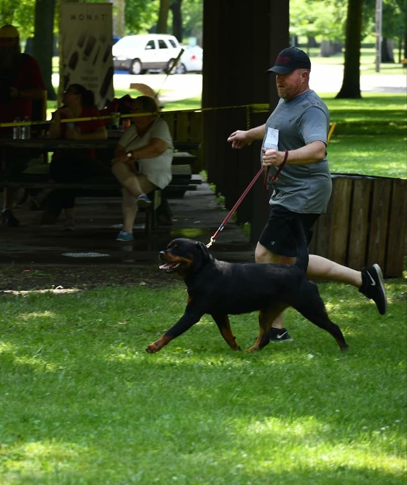 Hartenkern's Storm von der Moscono Ranch (Storm)