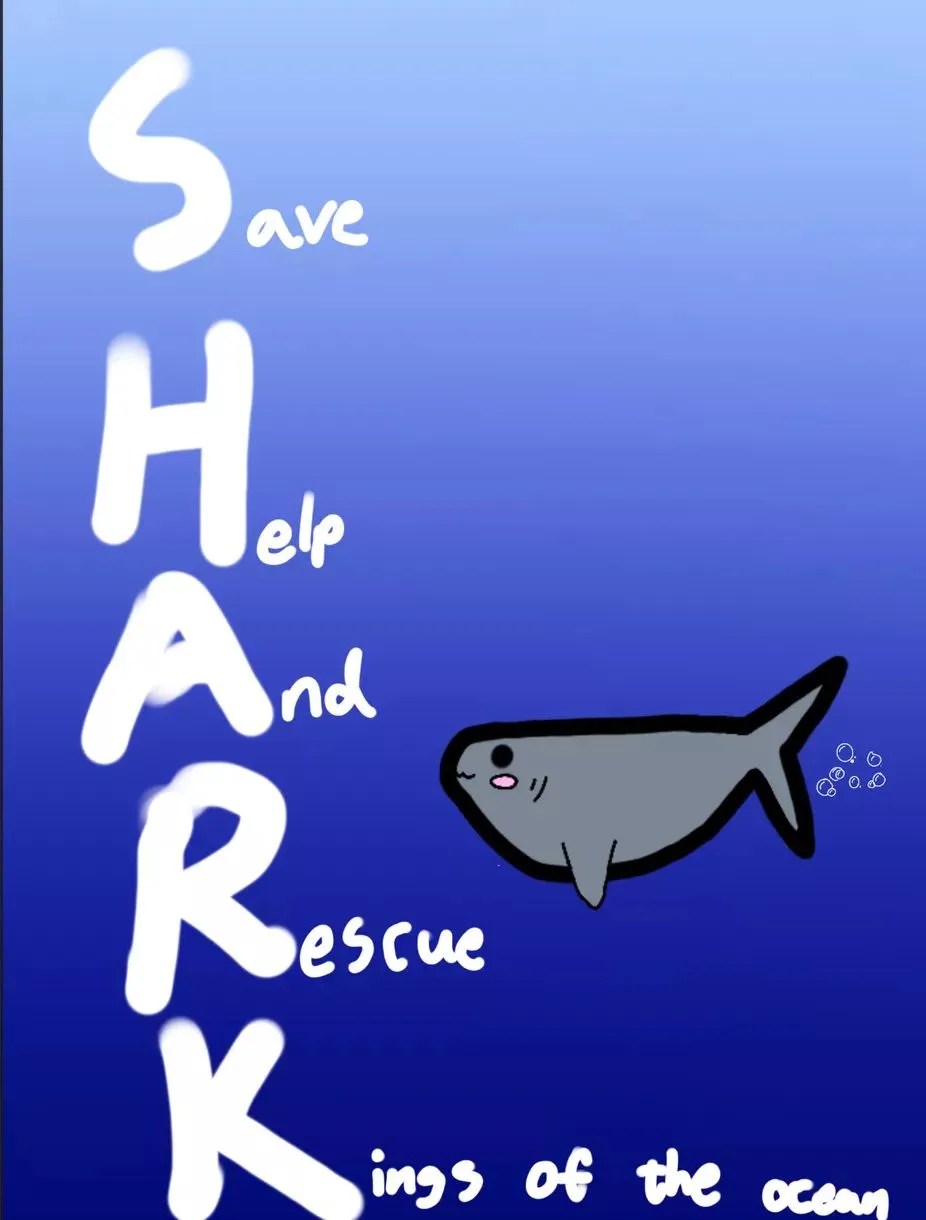 Well done to our "Shark Hero" and "Shark Ambassador" Maddy for