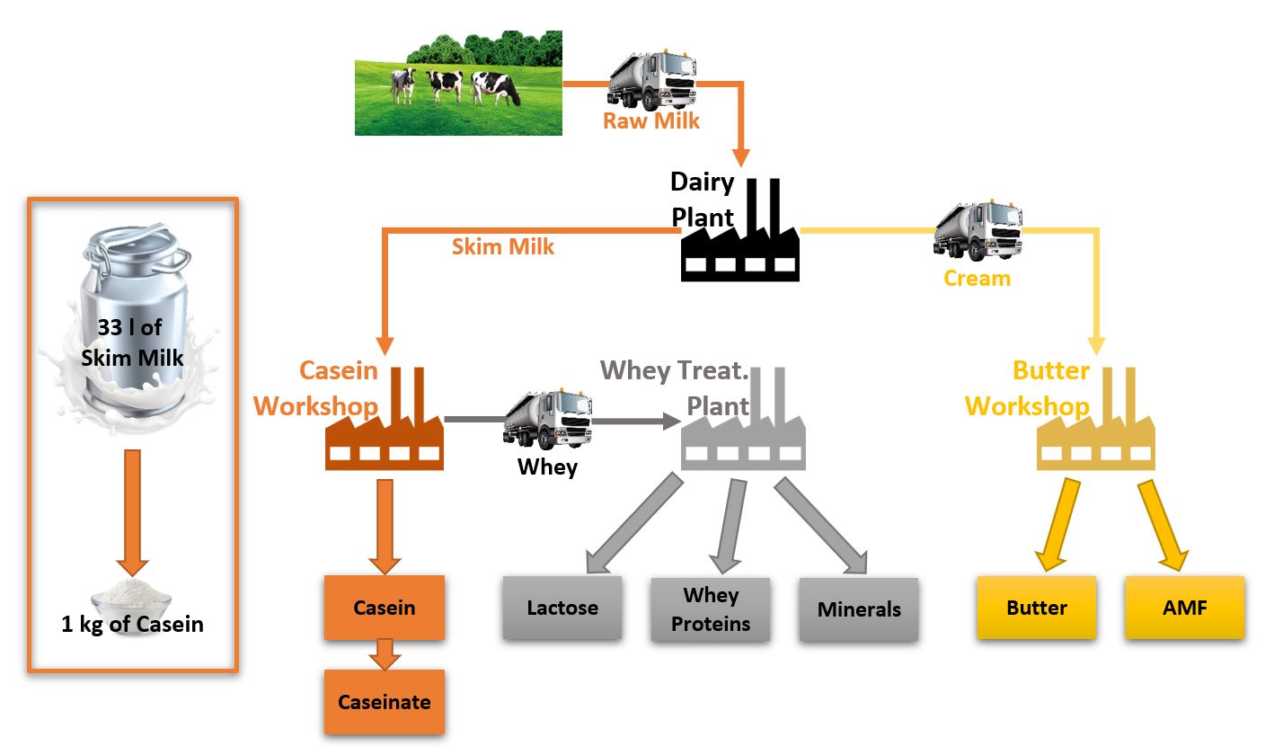 Caseins et Caseinates