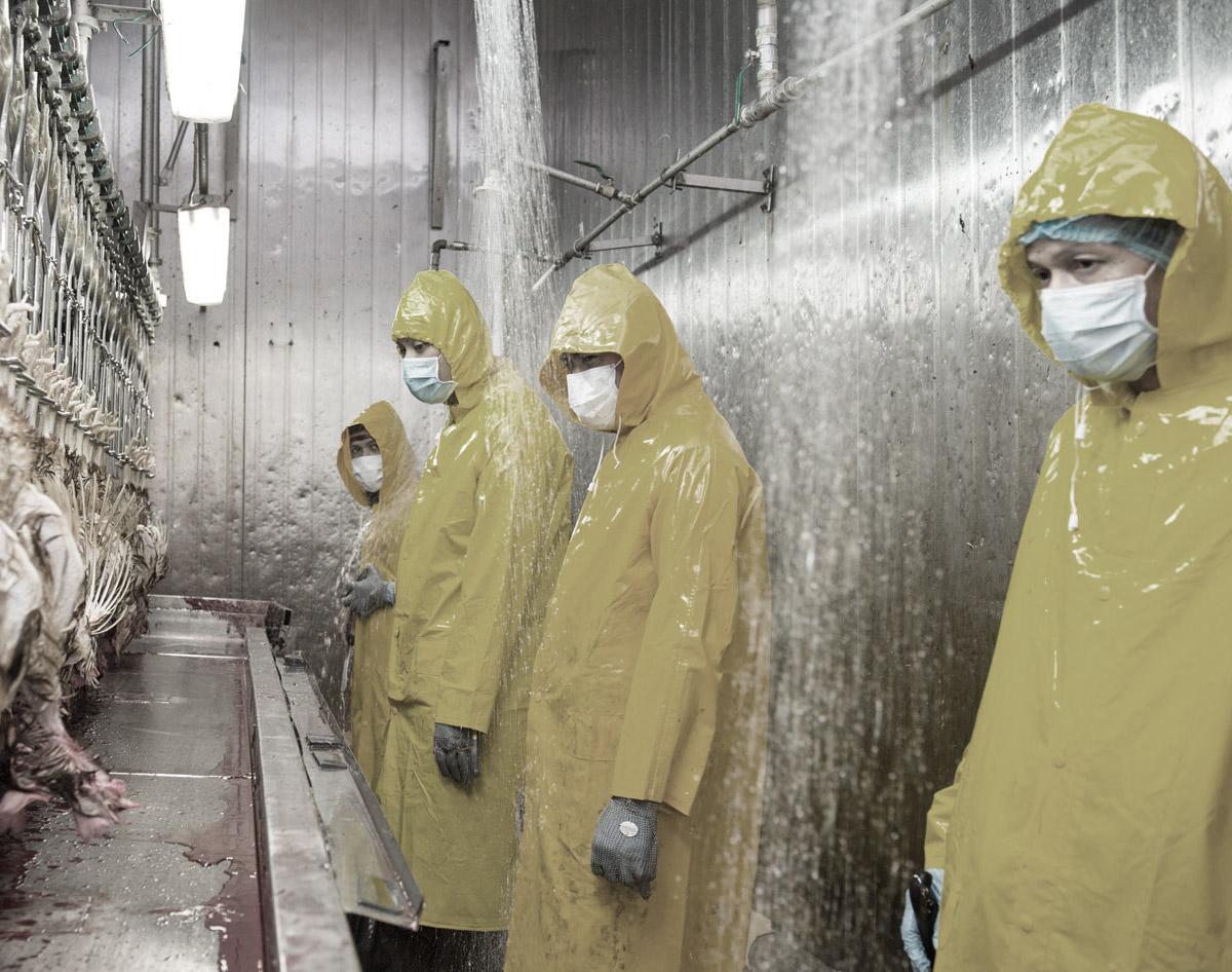 Halal Slaughter Procedures HLRB Processing Sdn bhd