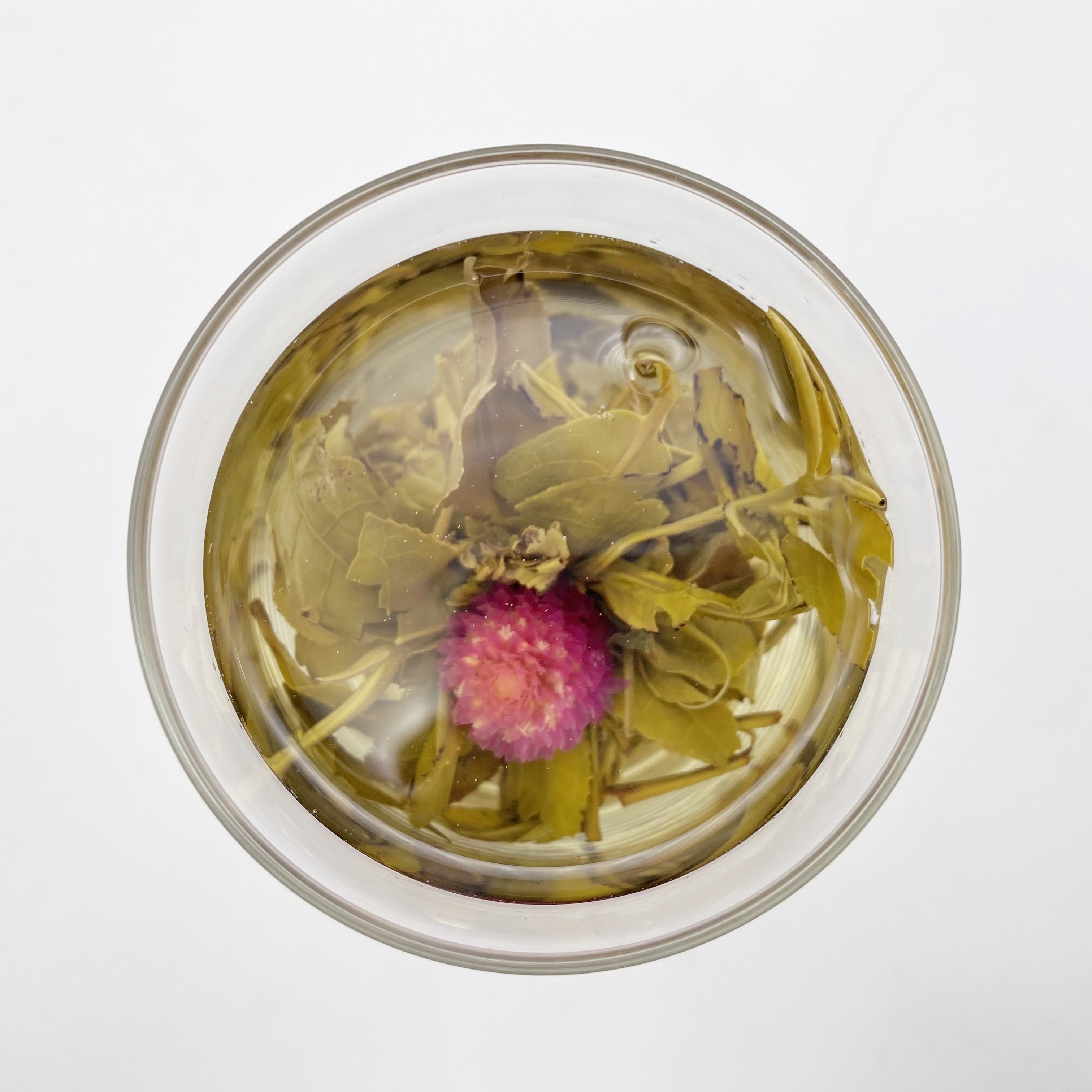Jasmine Blooming Tea