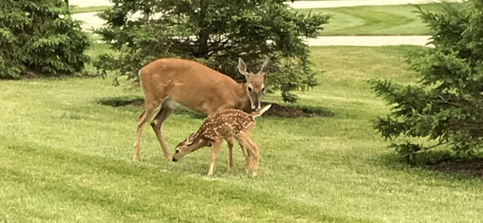 Heritage at Miami Bluffs HOA