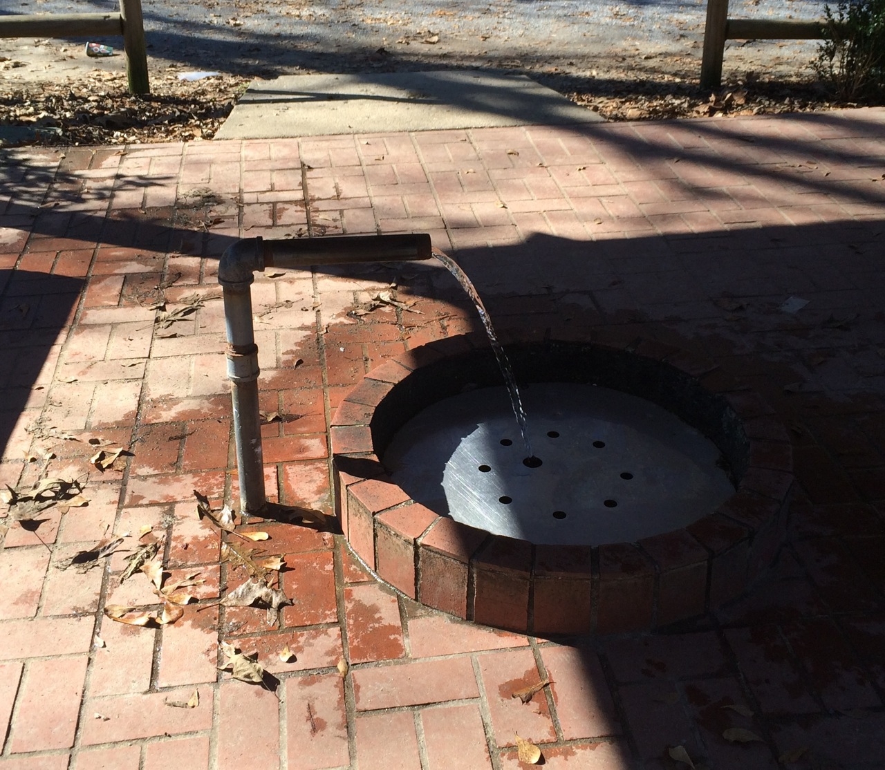 Photo Doster Road Artesian Well