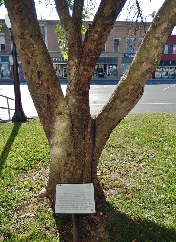 Johnny Appleseed Tree Historical Marker