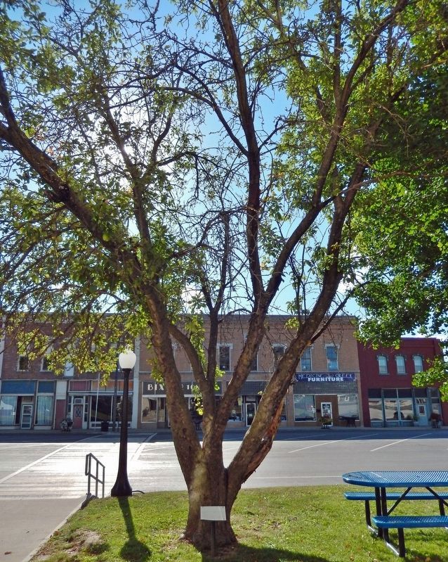 Johnny Appleseed Tree Historical Marker