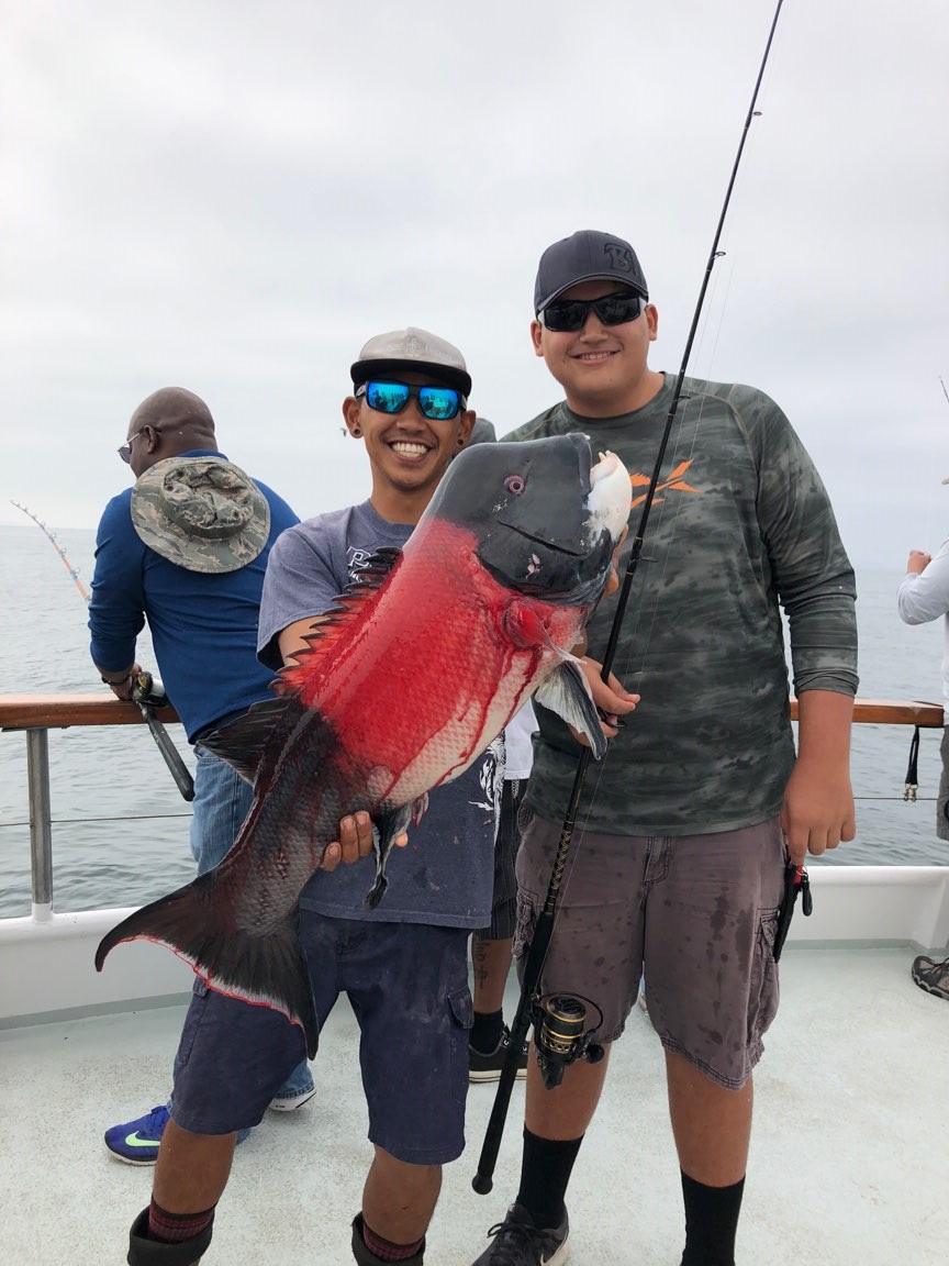 Premier Aug 17 H & M Landing Bookings