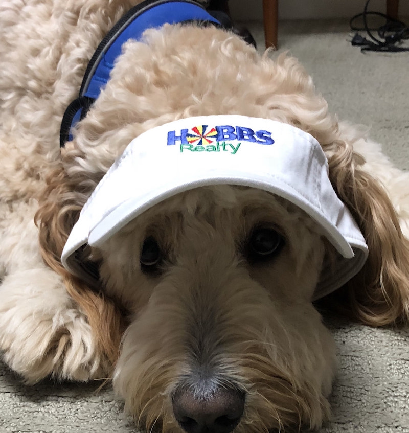 Service Animals and Hobbs Realty Vacation Rentals Holden Beach Blog