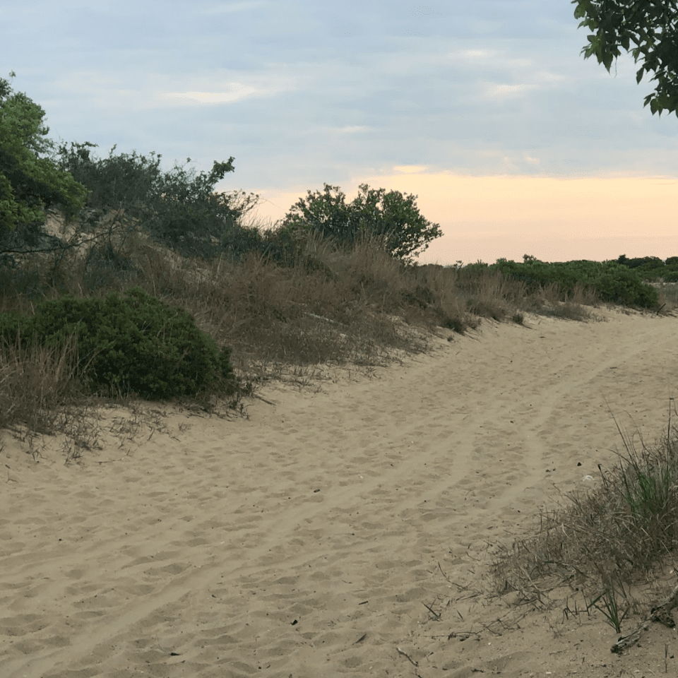 How to Spend a Day in Sandy Hook, NJ Montclair Girl