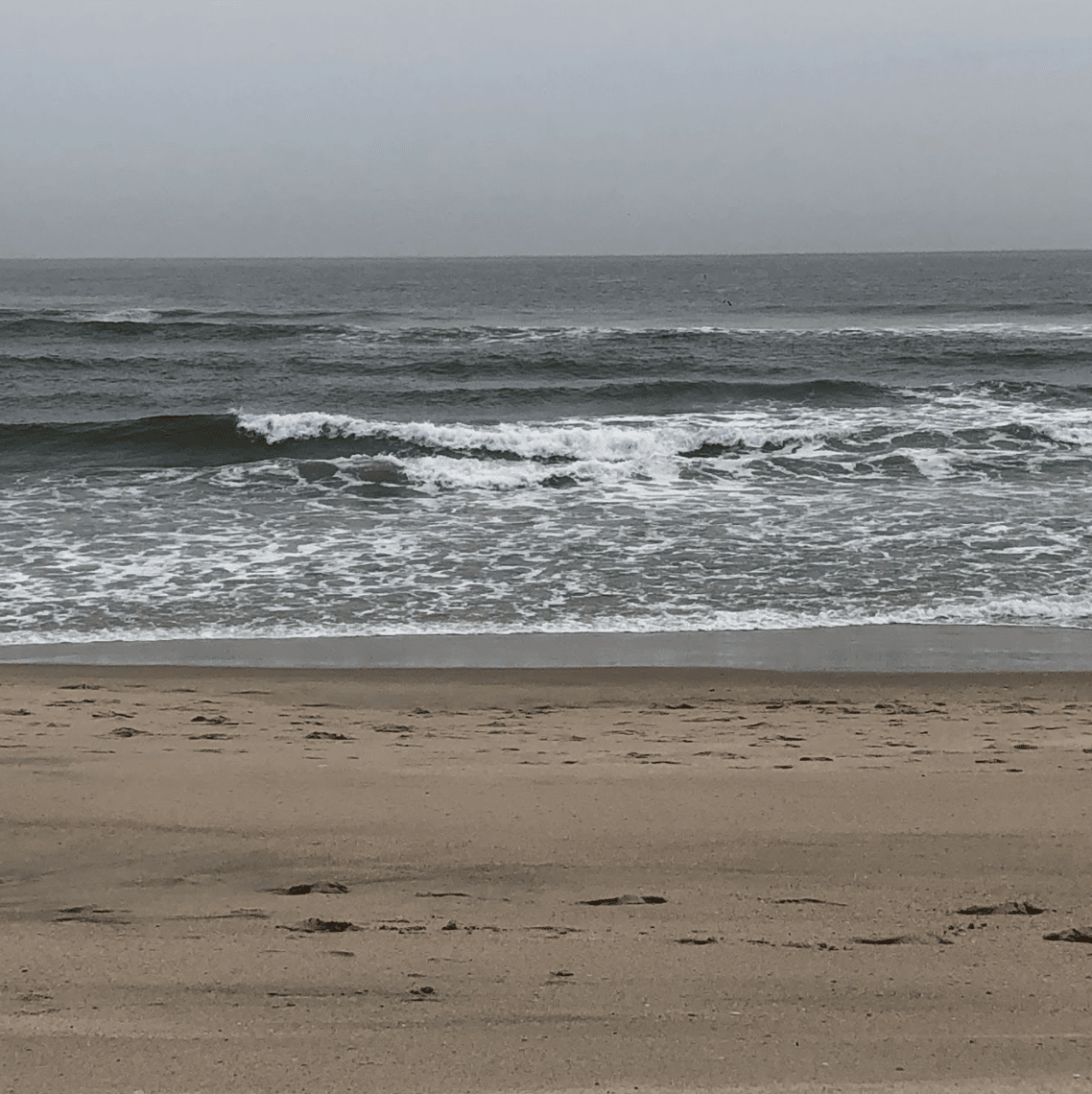 How to Spend a Day in Sandy Hook, NJ Montclair Girl