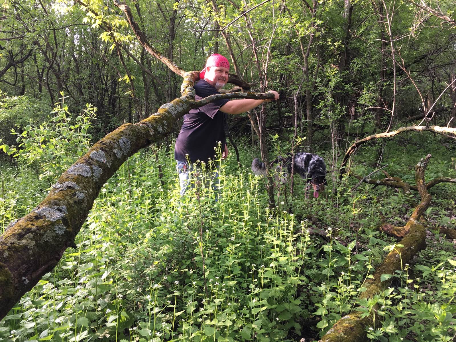 Mount Horeb, WI Restaurant Photos Hoff Bistro 101