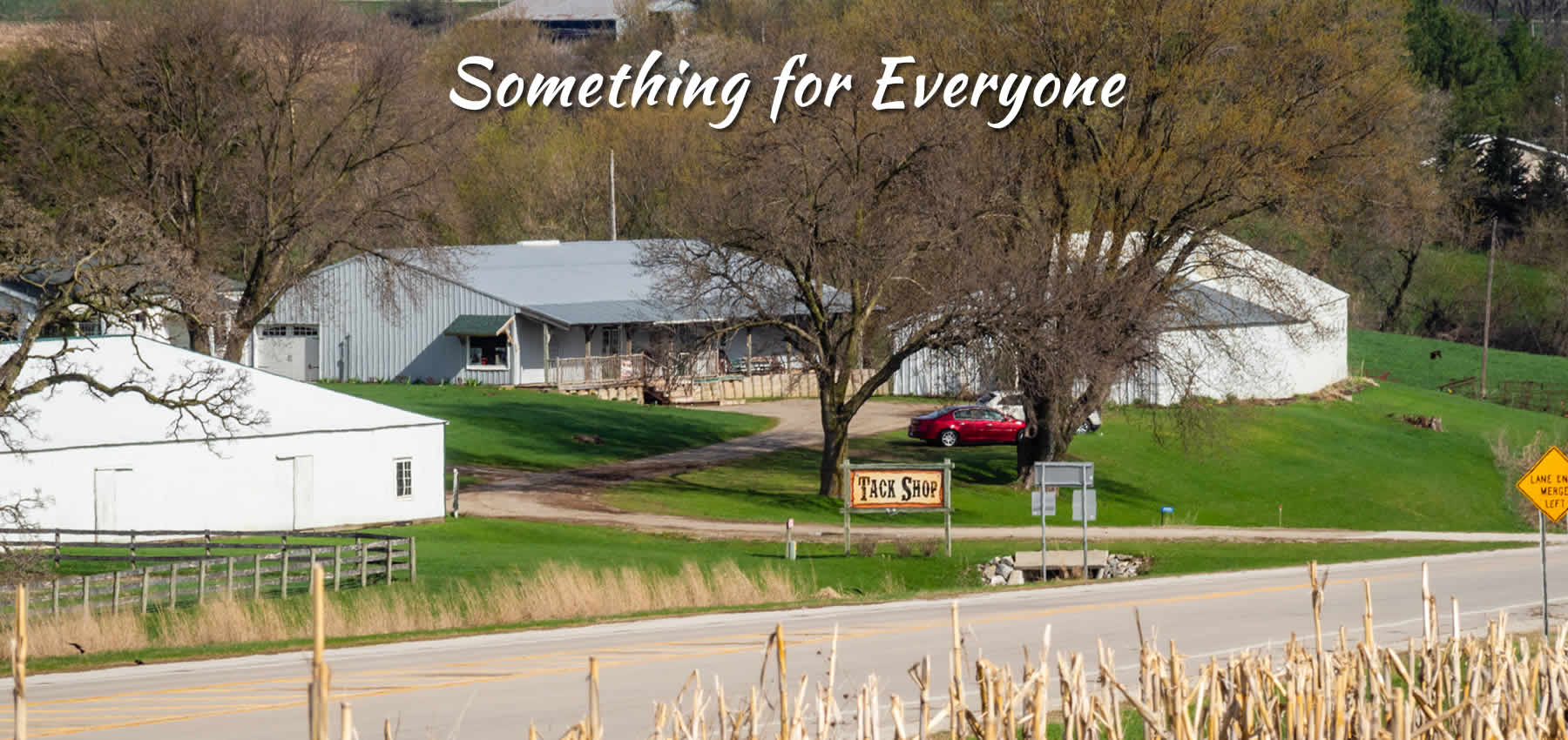 Hoffmann Stables & Tack Shop Everything you would need for your horse
