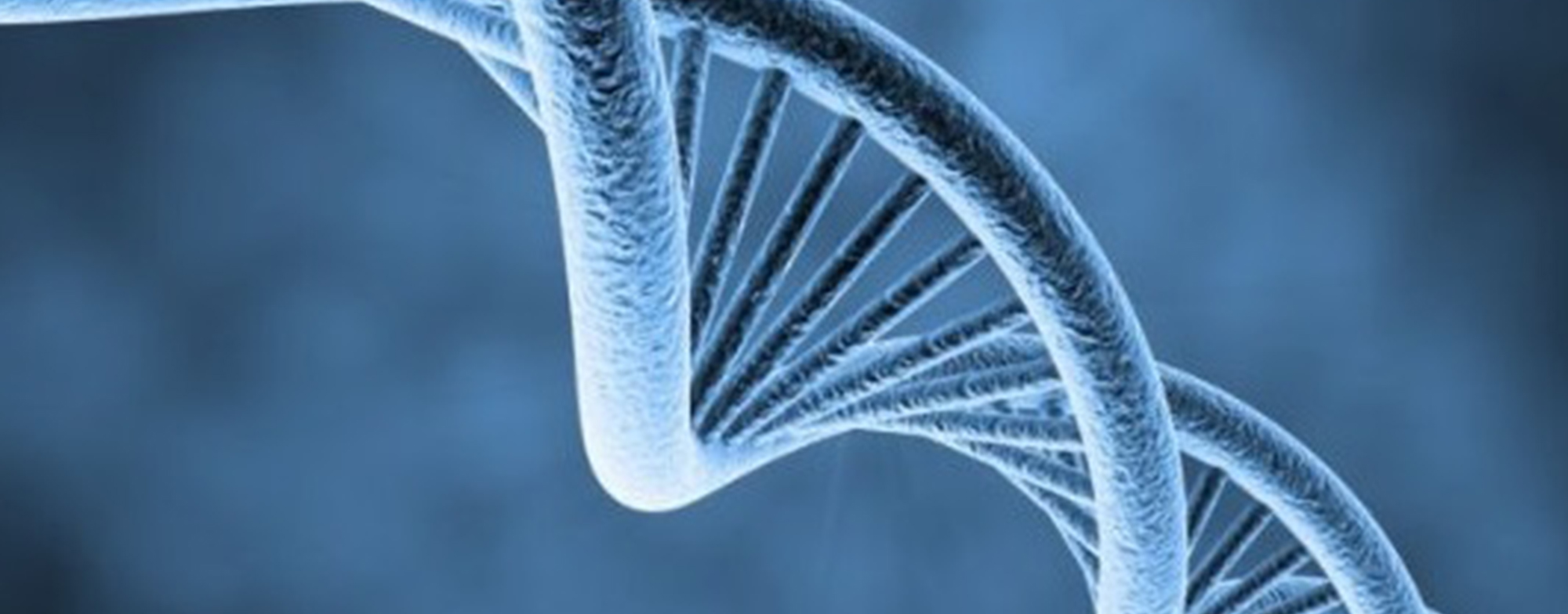 Hogans® Agency, Inc. Chestertown, MD Insurance Agents Maryland