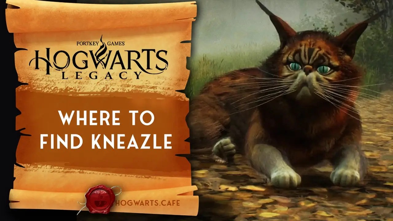 Where to Find Kneazle Hogwarts Cafe