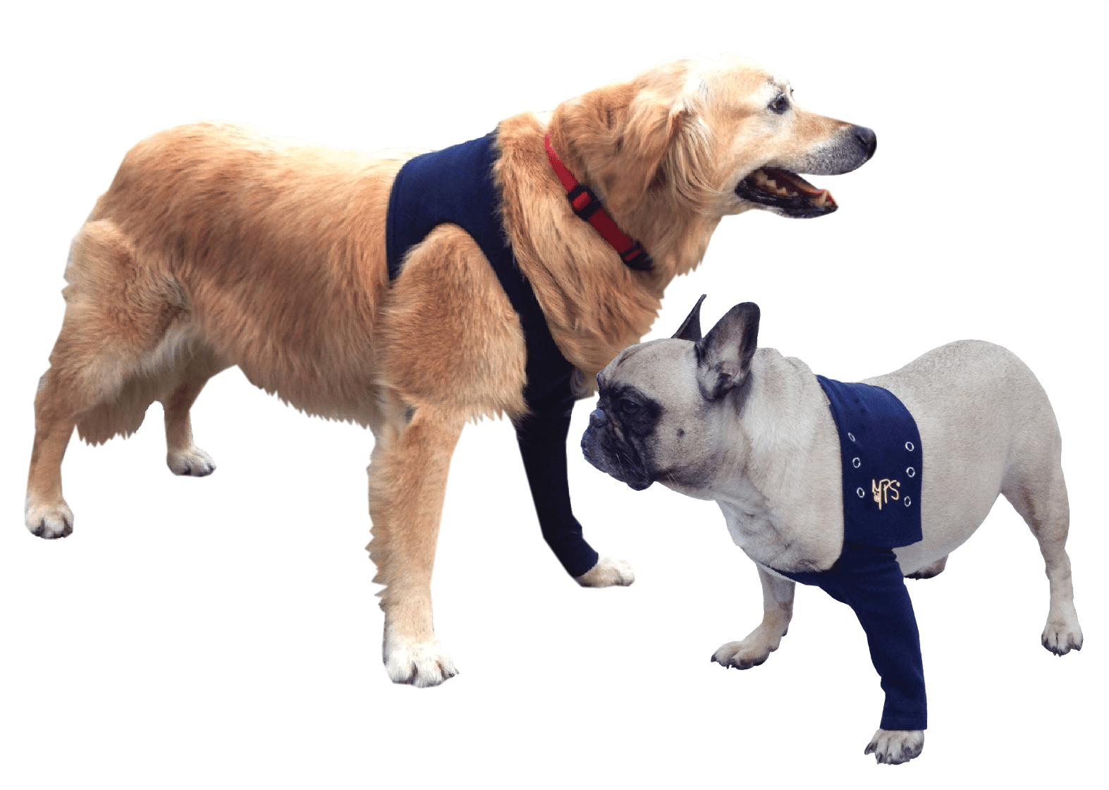 MPSTAZ Vorderbeinschutz für Hunde, Vorderbeinschutz