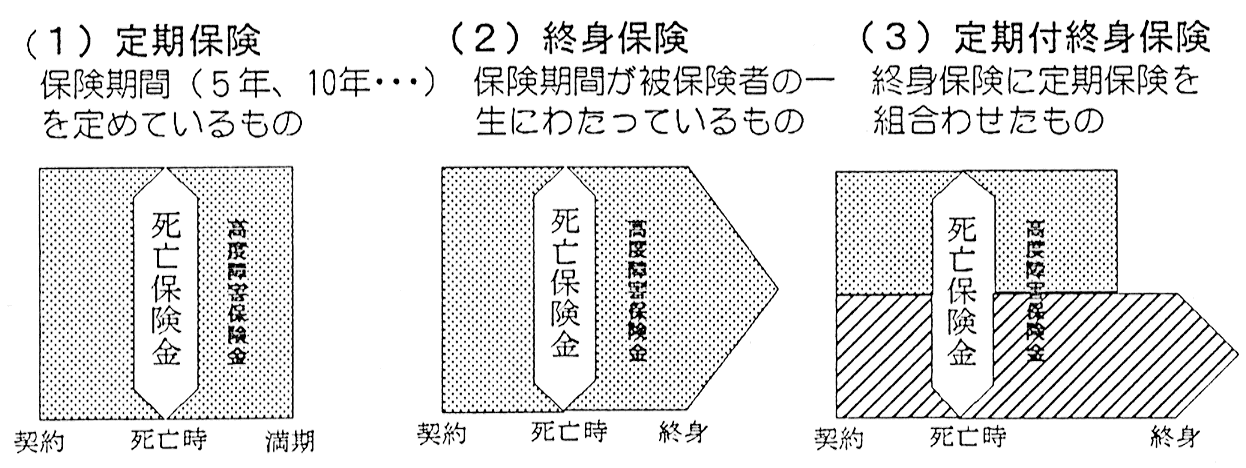 8+ 死亡 保険 のみ Article