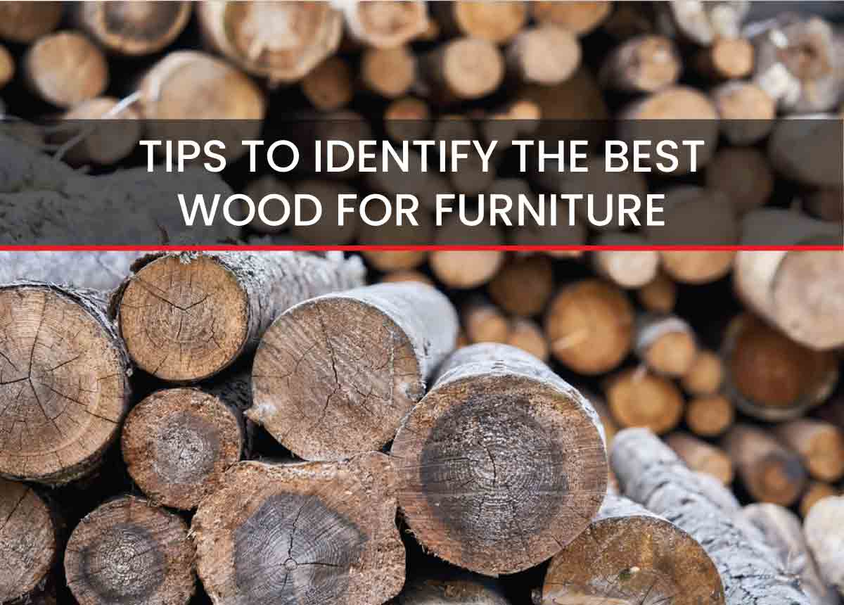 Tips To Identify The Best Wood For Furniture Hokybo Online Store