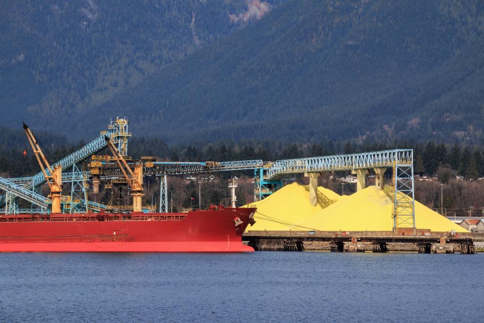 Why is sulphur so hard on cargo holds?