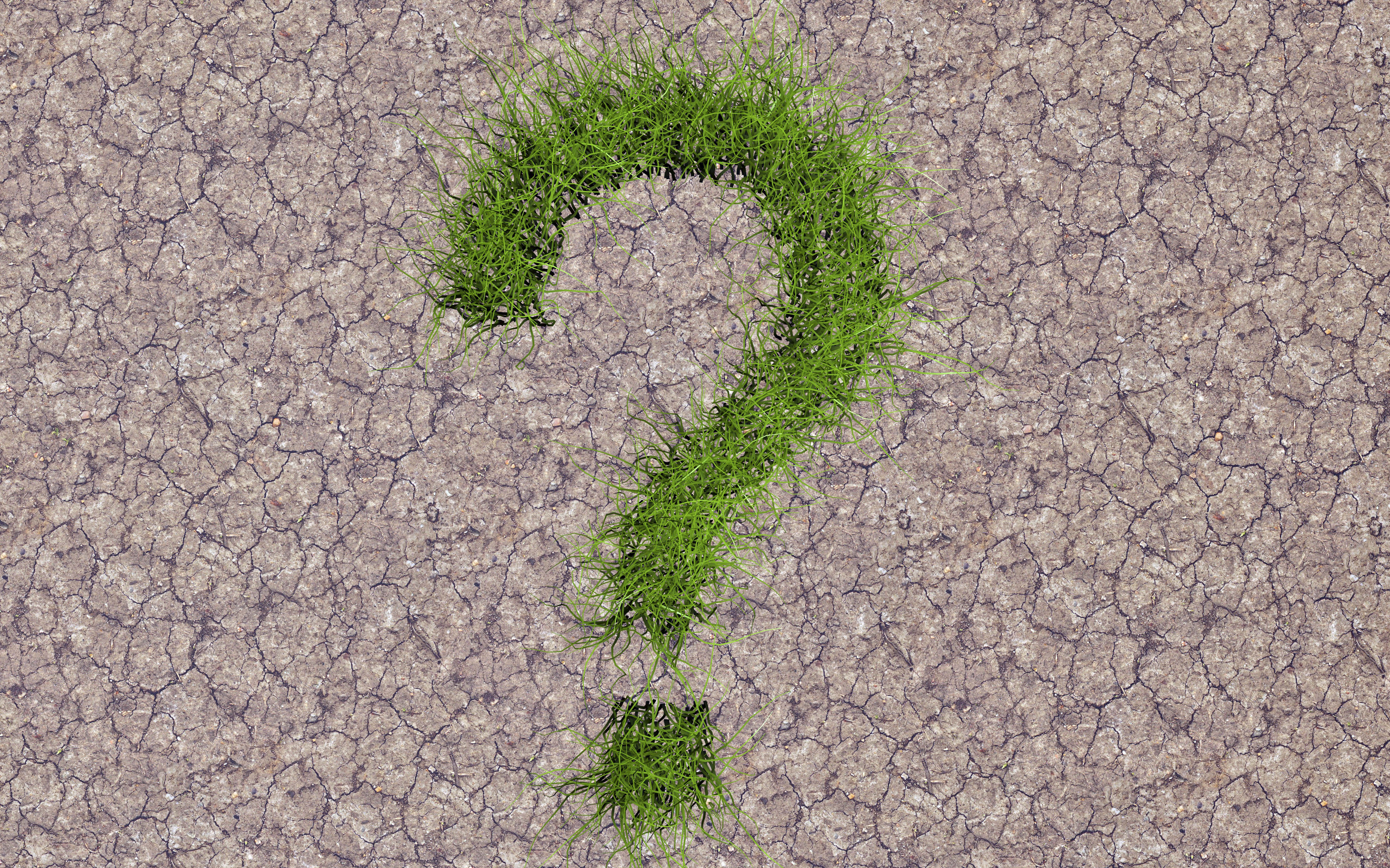 How have plants naturally adapted to water loss?