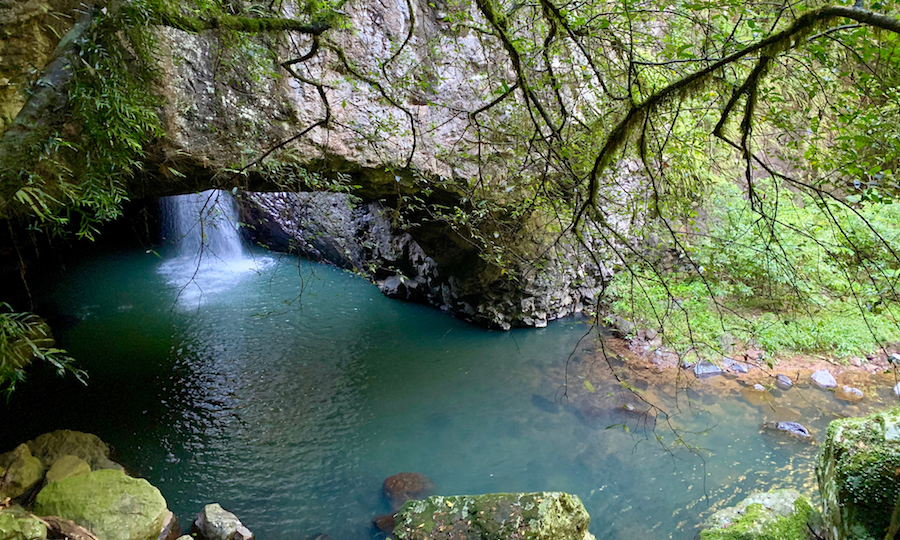 Natural Bridge, Springbrook 2023