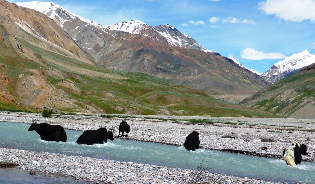 Best Places to visit in June in India Enjoy Summer Vacations Holidify