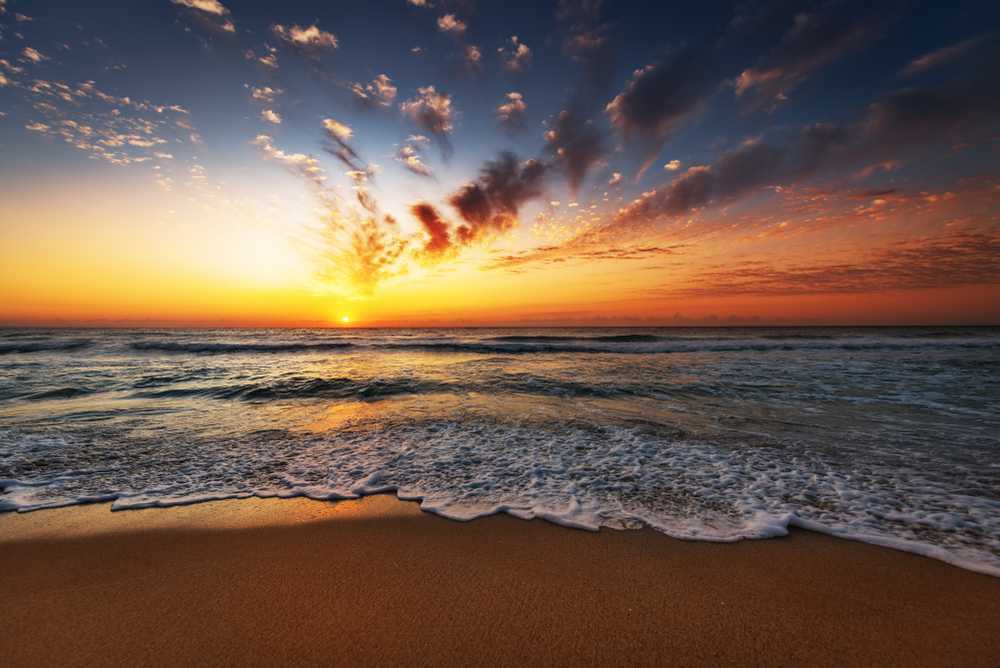Talasari Beach Tourism (2021) Odisha > Top Places, Travel Guide