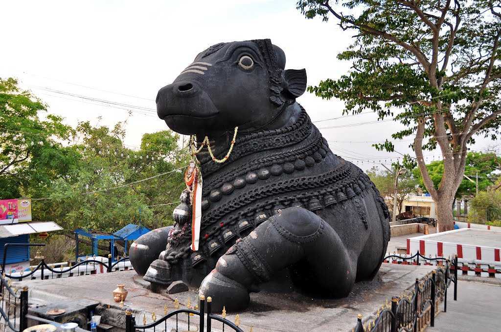 Bull Temple, Bangalore Timings, History & Legend