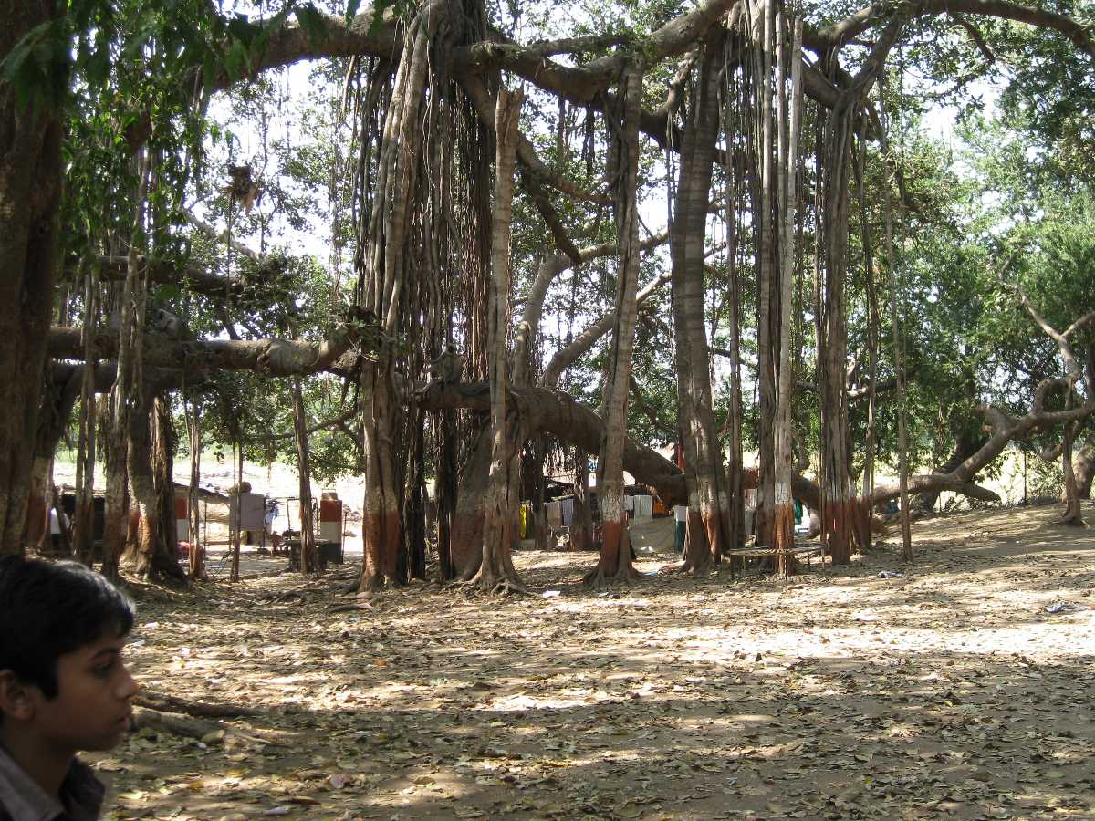 7 Places to Visit Near Vadodara For One Day Picnic in 2020