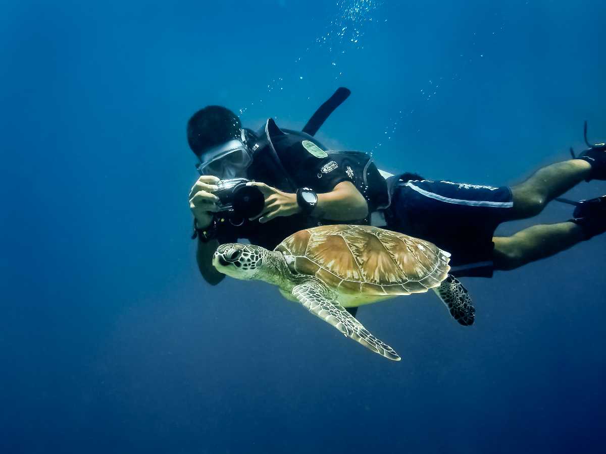 Scuba Diving in Sri Lanka Best Places, Cost, Operators Holidify