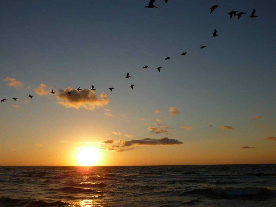 Surfside Beach, Houston, Texas, USA Beaches Near Houston Holidify