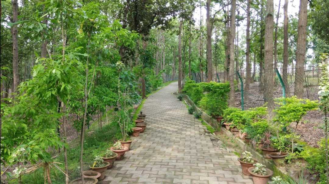 7 Best Parks in Ranchi Timings, Tickets