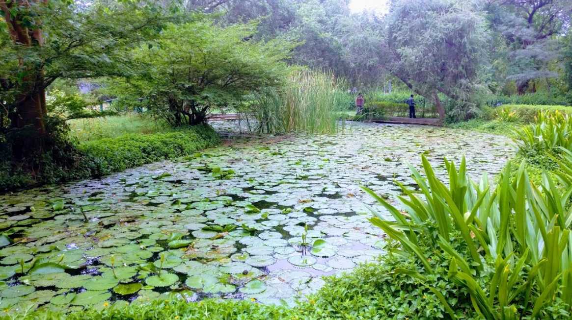 Law Garden, Ahmedabad Market, Photos & Timings