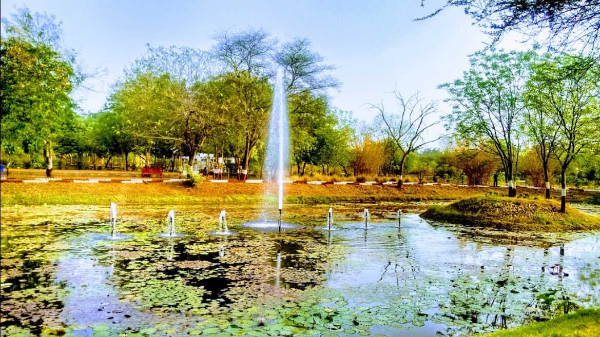 5 Gardens in Gandhinagar for a Day Amidst Nature 2024