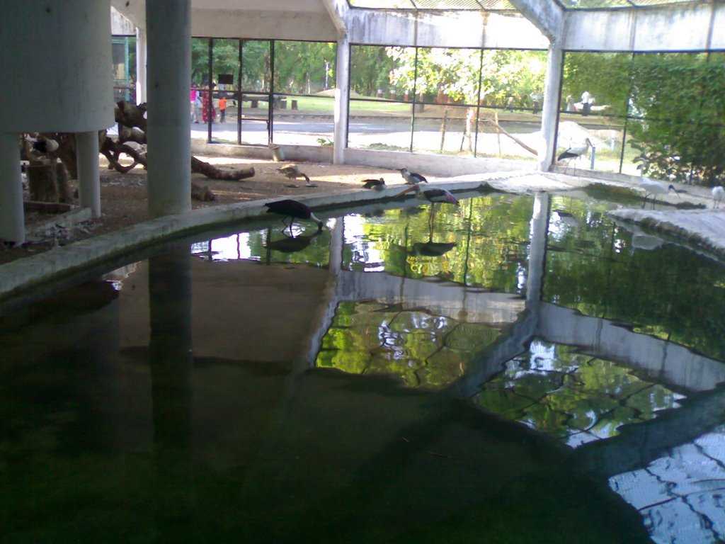 Sayaji Gardens, Vadodara Sayaji Gardens Photos and Timings