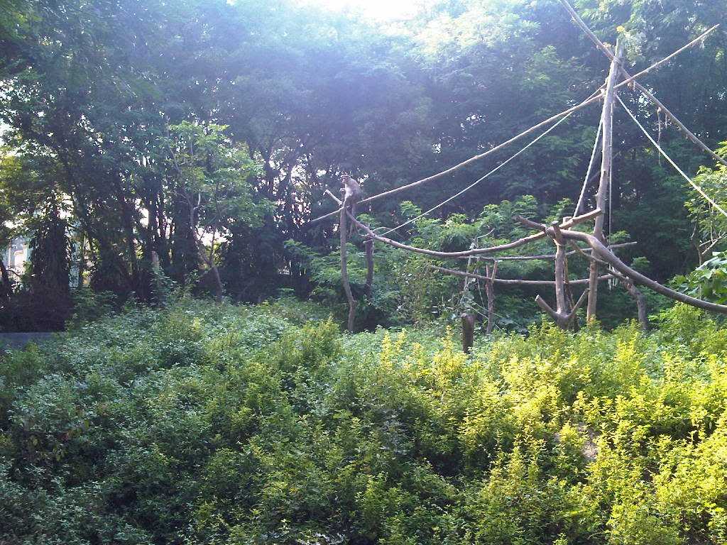 Katraj Snake Park, Pune Photos and Timings