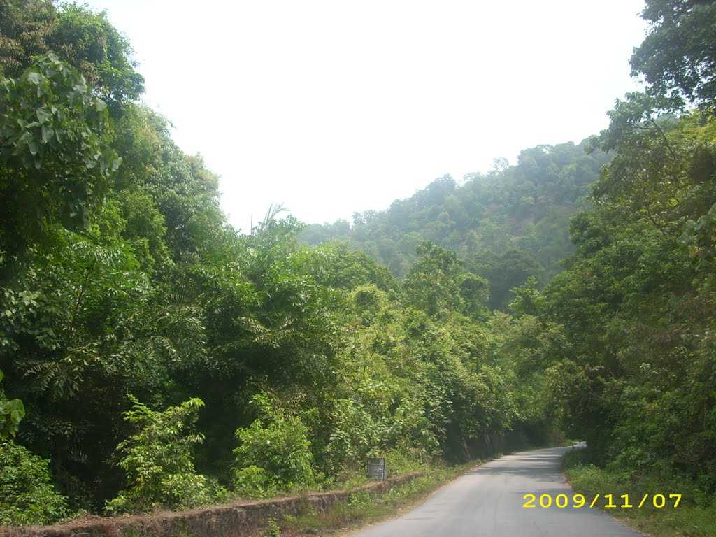 Kudremukh Tourism > Travel Guide, Best Attractions, Tours & Packages