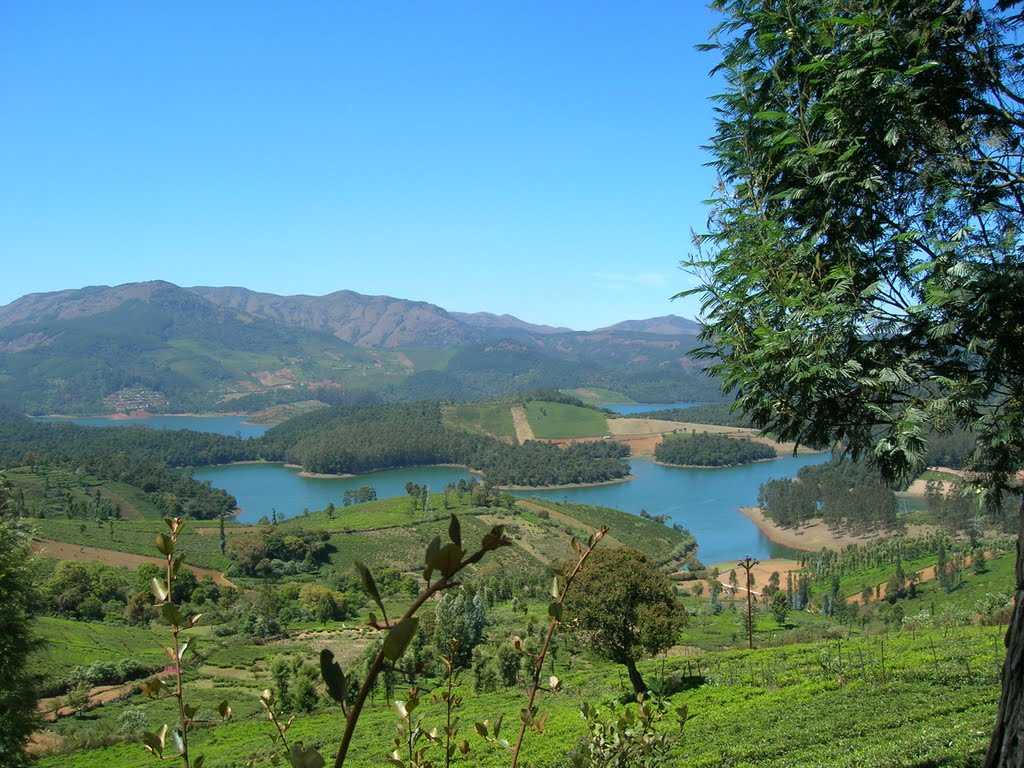 Emerald Lake Ooty Images, Best Time to Visit
