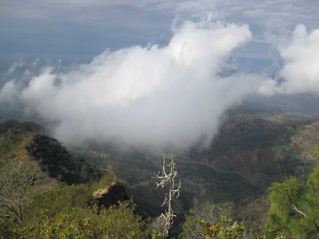 Morni Hills Panchkula Morni Hills images, best time to visit