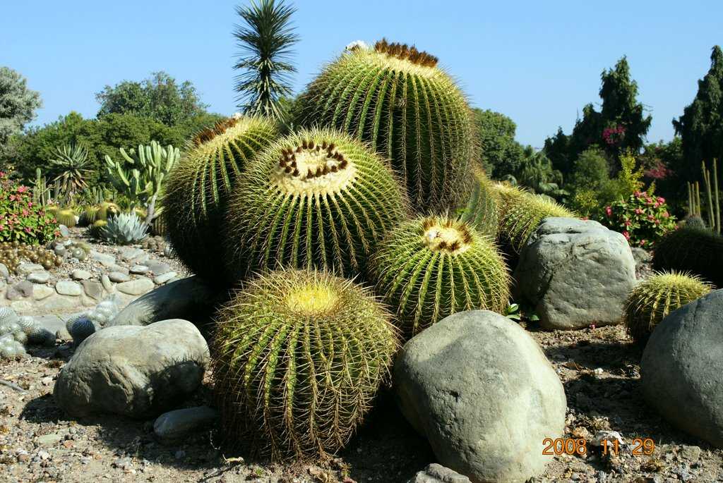 Haryana, India Tourism (2021) > Travel Guide, Best Places