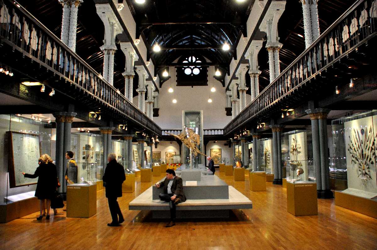Hunterian Museum and Art Gallery, GLASGOW, Scotland Hunterian Museum