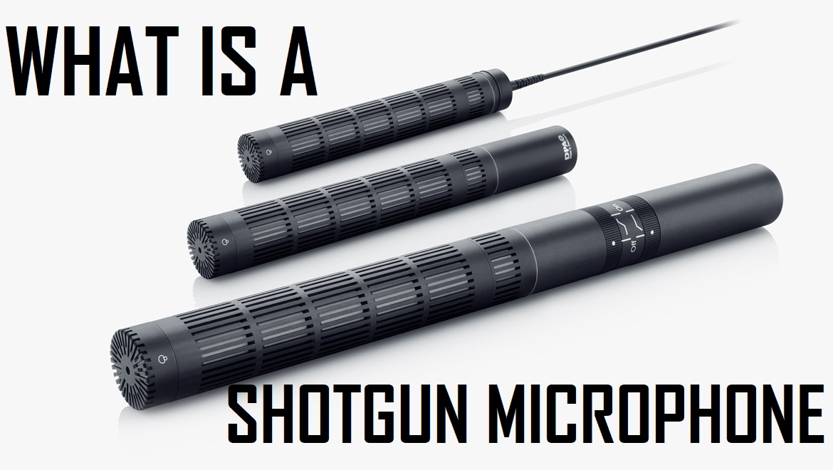 What is a Shotgun Microphone Hollyland