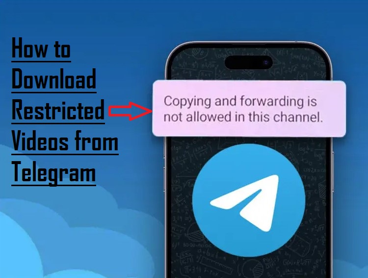 3 Ways to Download Restricted Videos from Telegram - Hollyland