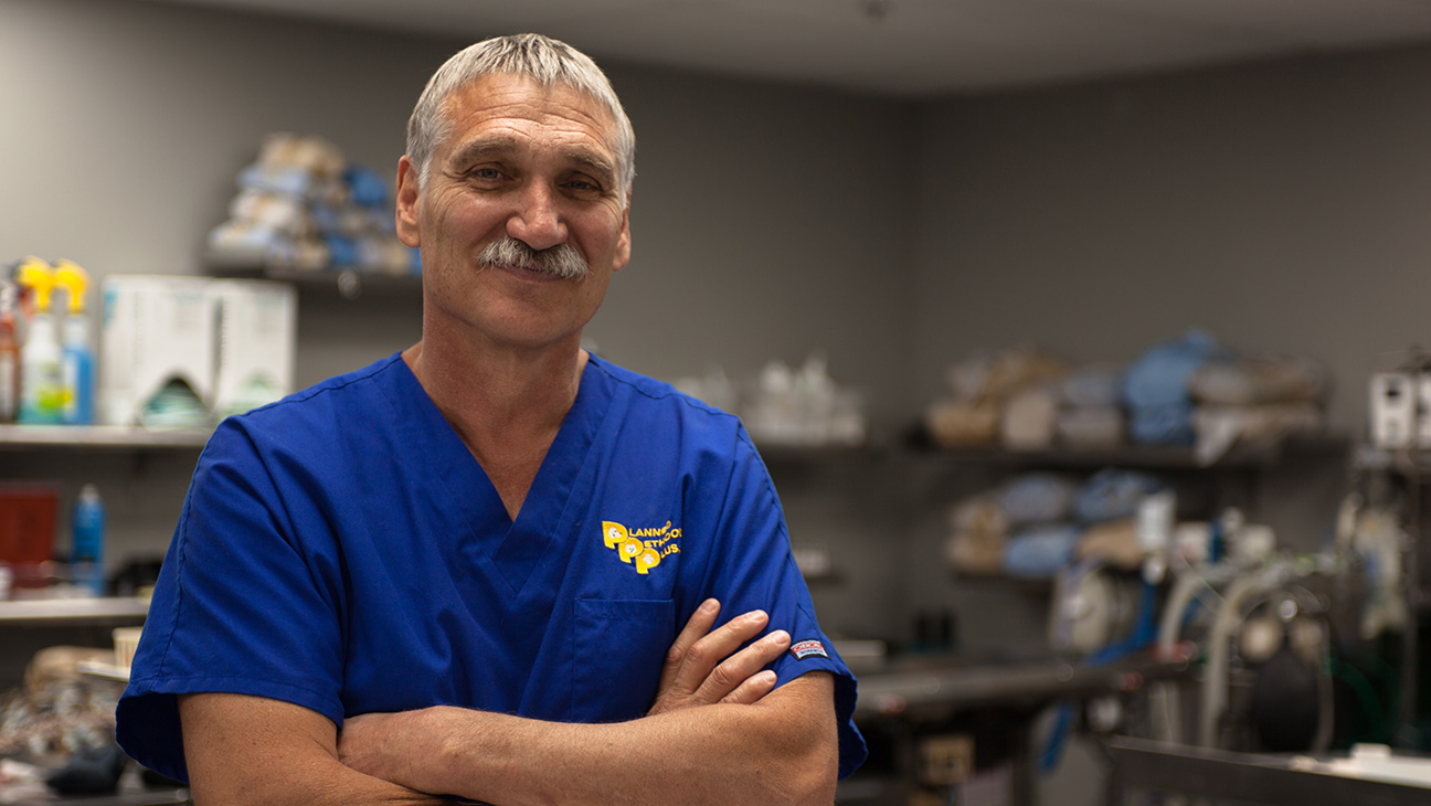 dr jeff colorado vet net worth
